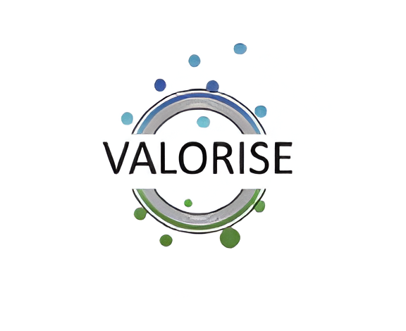 VALORISATION AND ACCELERATION OF LEARNING IN OPEN RESEARCH AND INNOVATION FOR SYSTEMIC EXCELLENCE - VALORISE